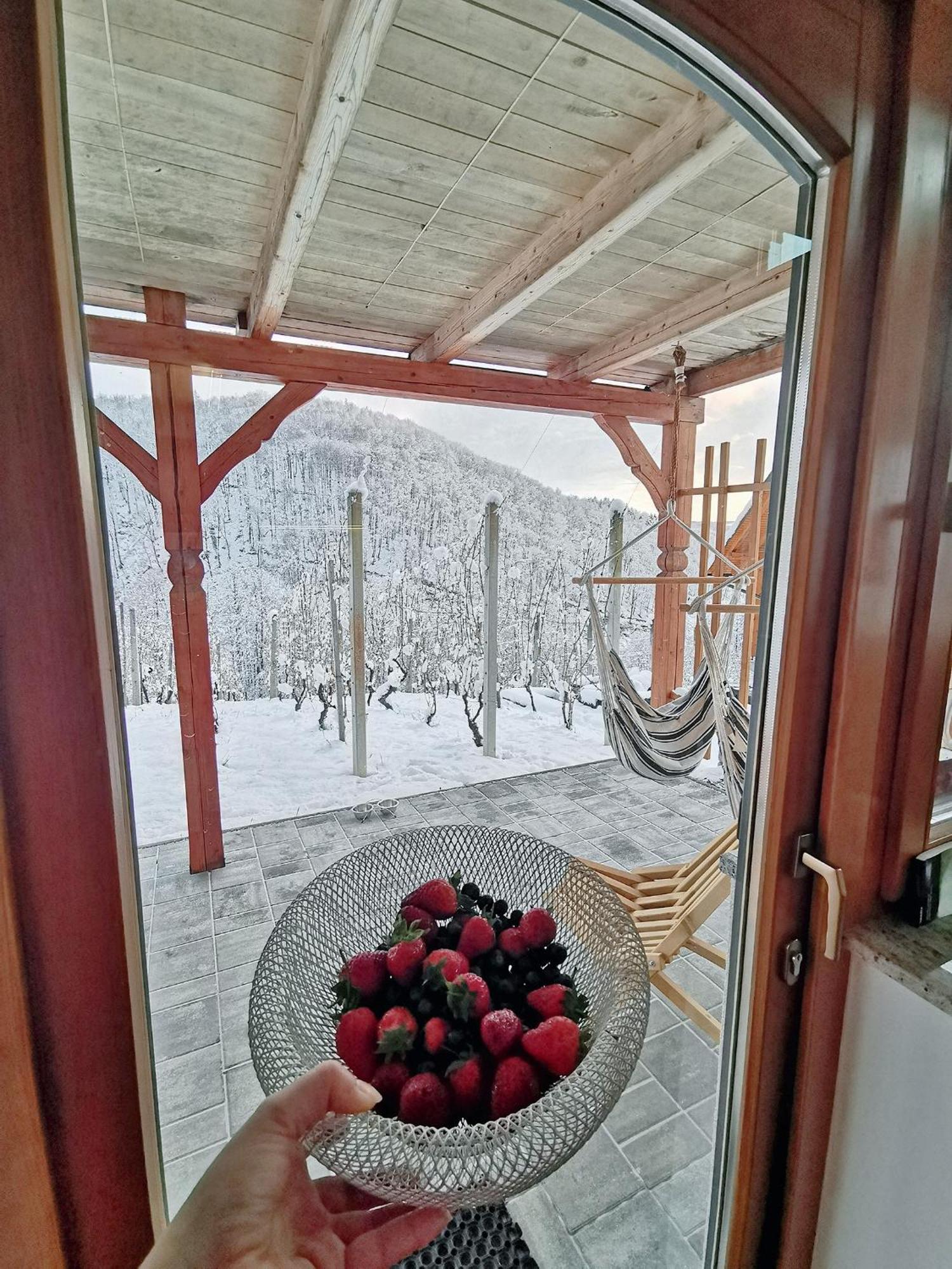 Vineyard Cottage Matej Trebnje Exterior photo